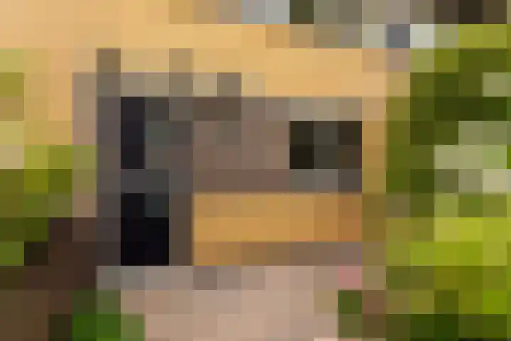 Julistraat 57 Almere thumbnail 47