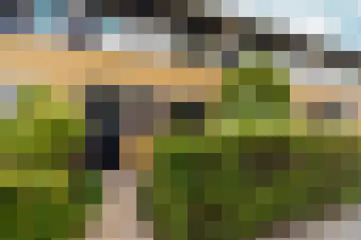 Julistraat 57 Almere thumbnail 7