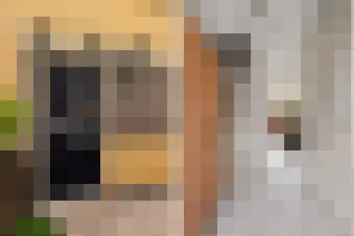 Julistraat 57 Almere thumbnail 8
