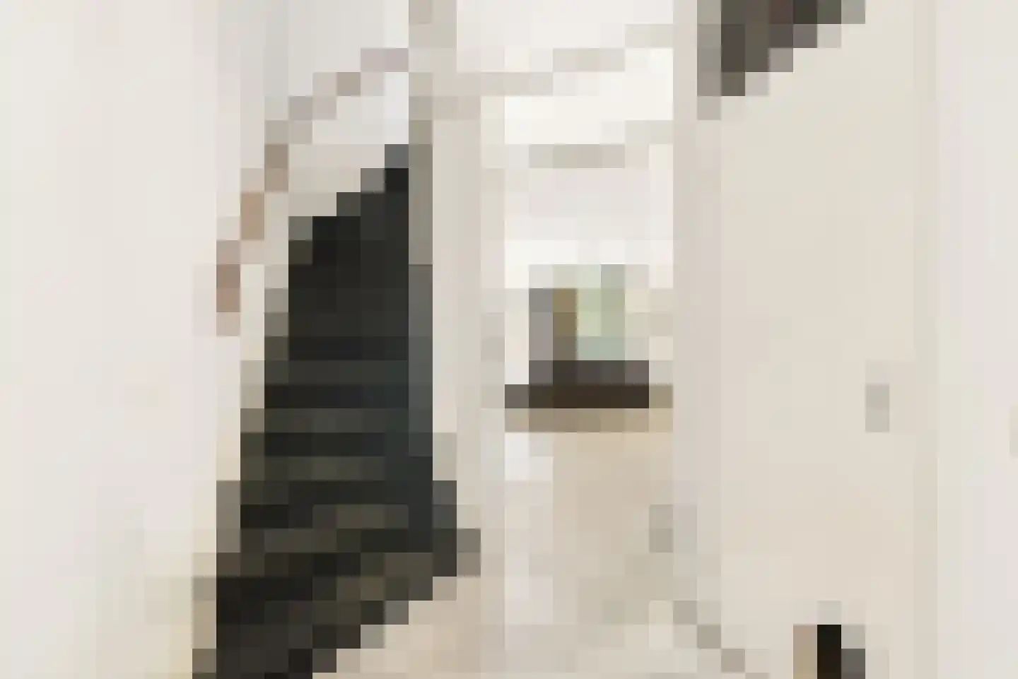 Julistraat 61 Almere thumbnail 10