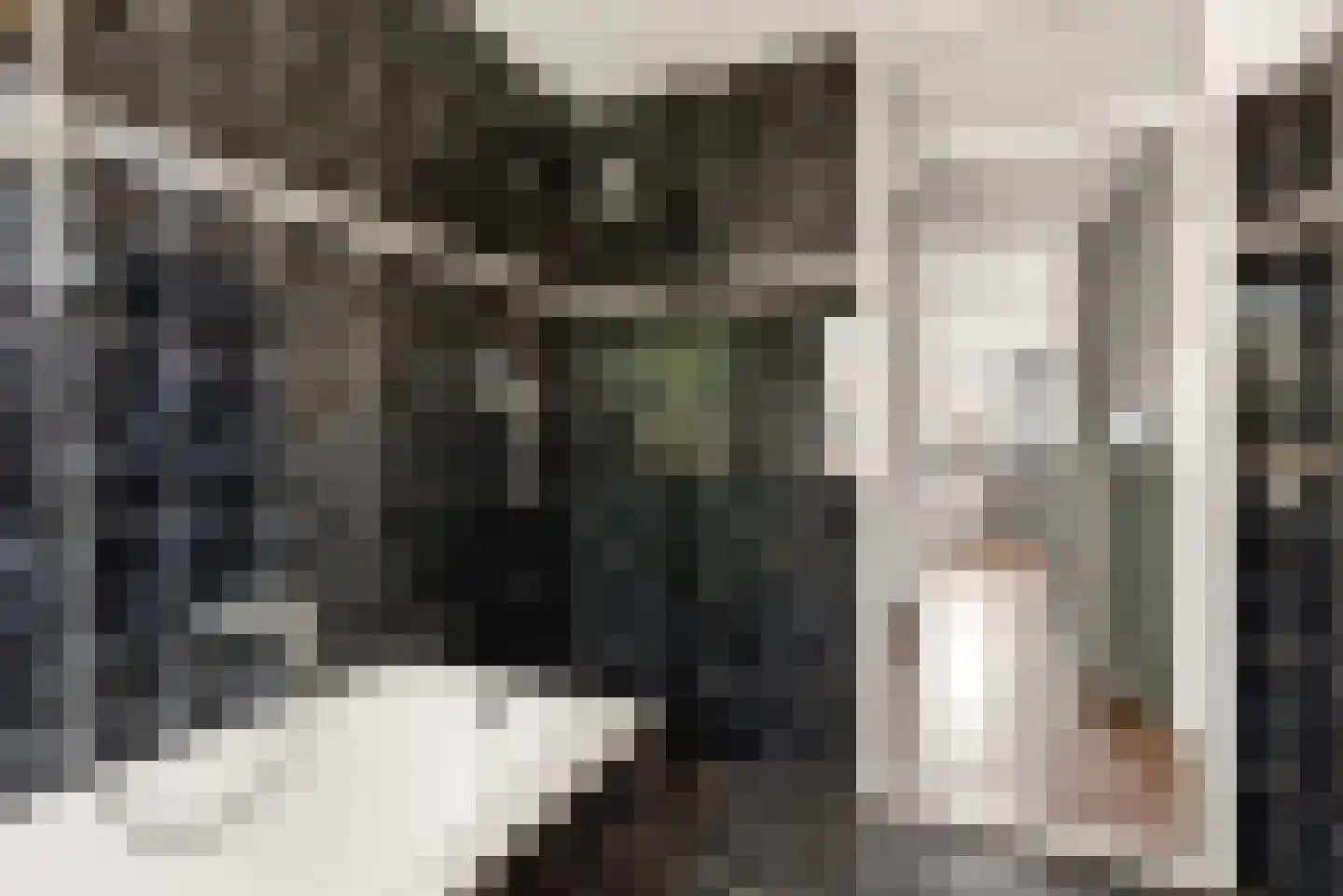 Julistraat 61 Almere thumbnail 32