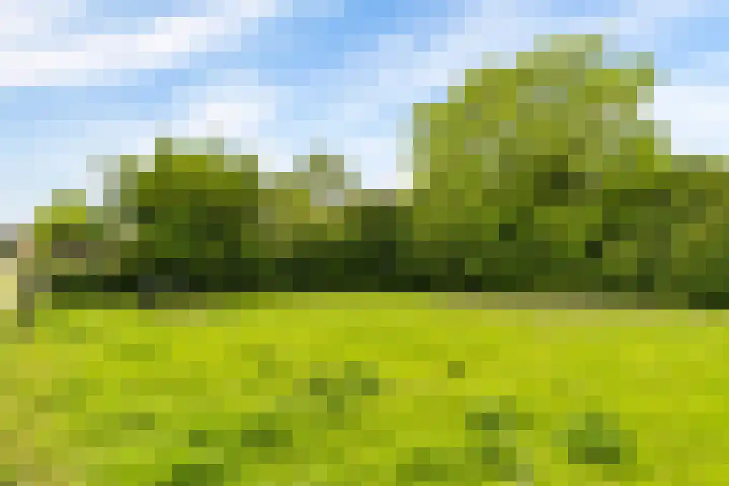 Julistraat 61 Almere thumbnail 45