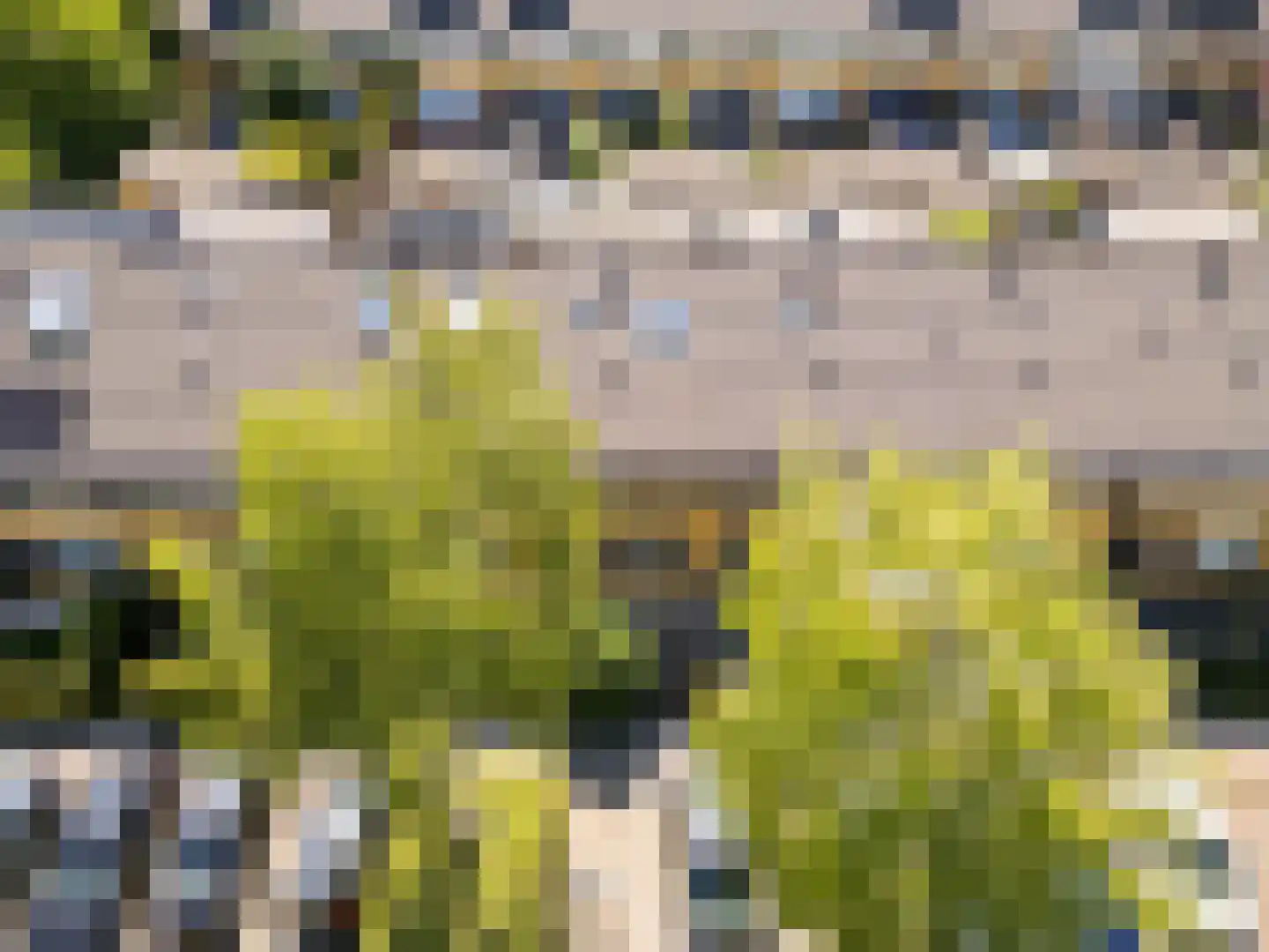 Julistraat 61 Almere thumbnail 8