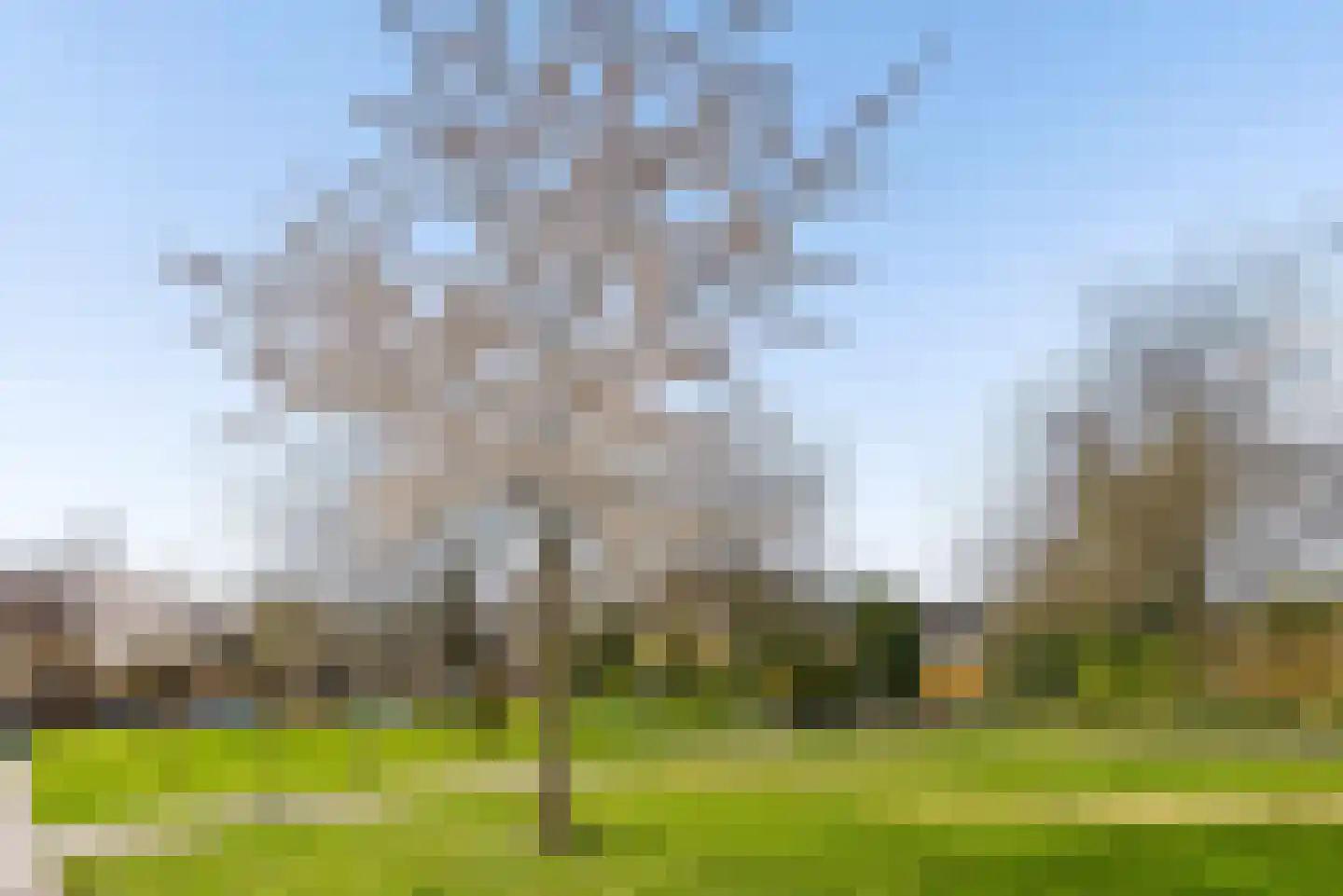 Julistraat 67 Almere thumbnail 52
