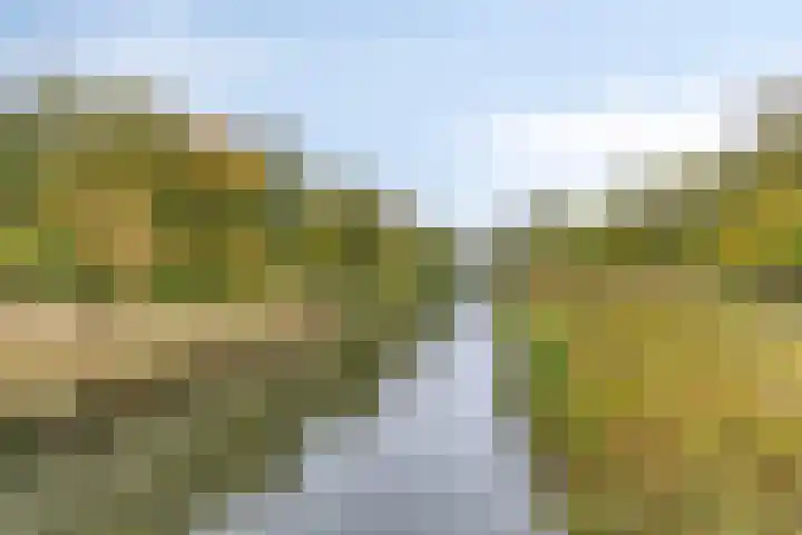 Julistraat 69 Almere thumbnail 43