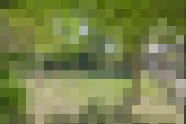 Julistraat 75 Almere thumbnail 15