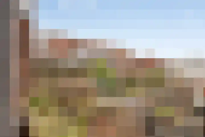 Julistraat 75 Almere thumbnail 25