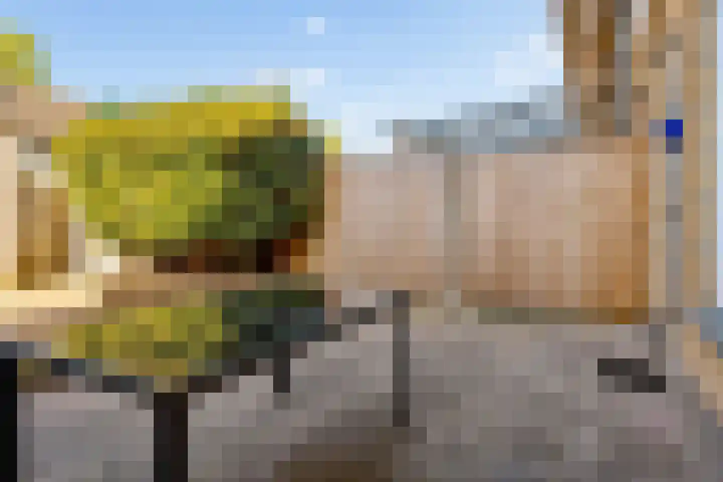 Julistraat 99 Almere thumbnail 33