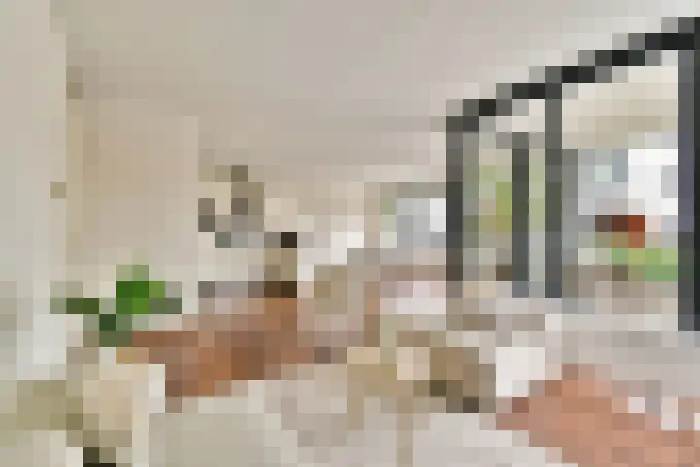 Julius Caesarlaan 100 Leiden thumbnail 10