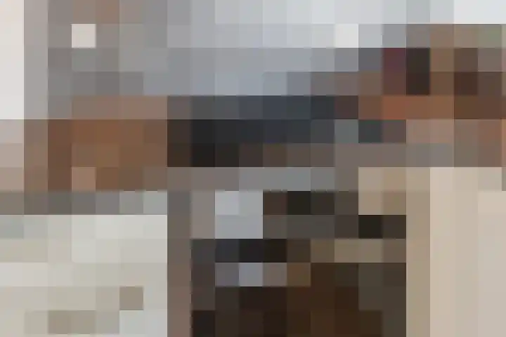 Julius Caesarlaan 200 Leiden thumbnail 14