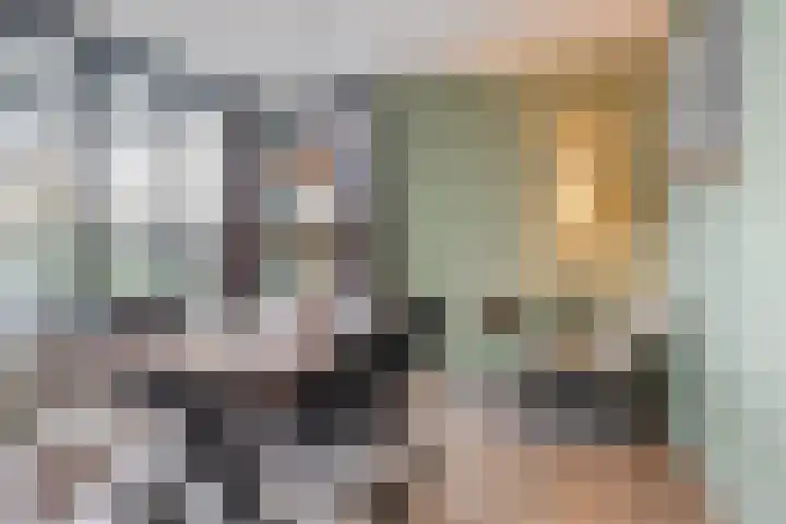 Julius Caesarlaan 200 Leiden thumbnail 8