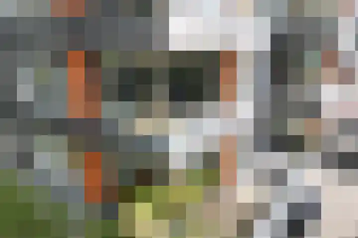 Julius Caesarlaan 32 Leiden thumbnail 6