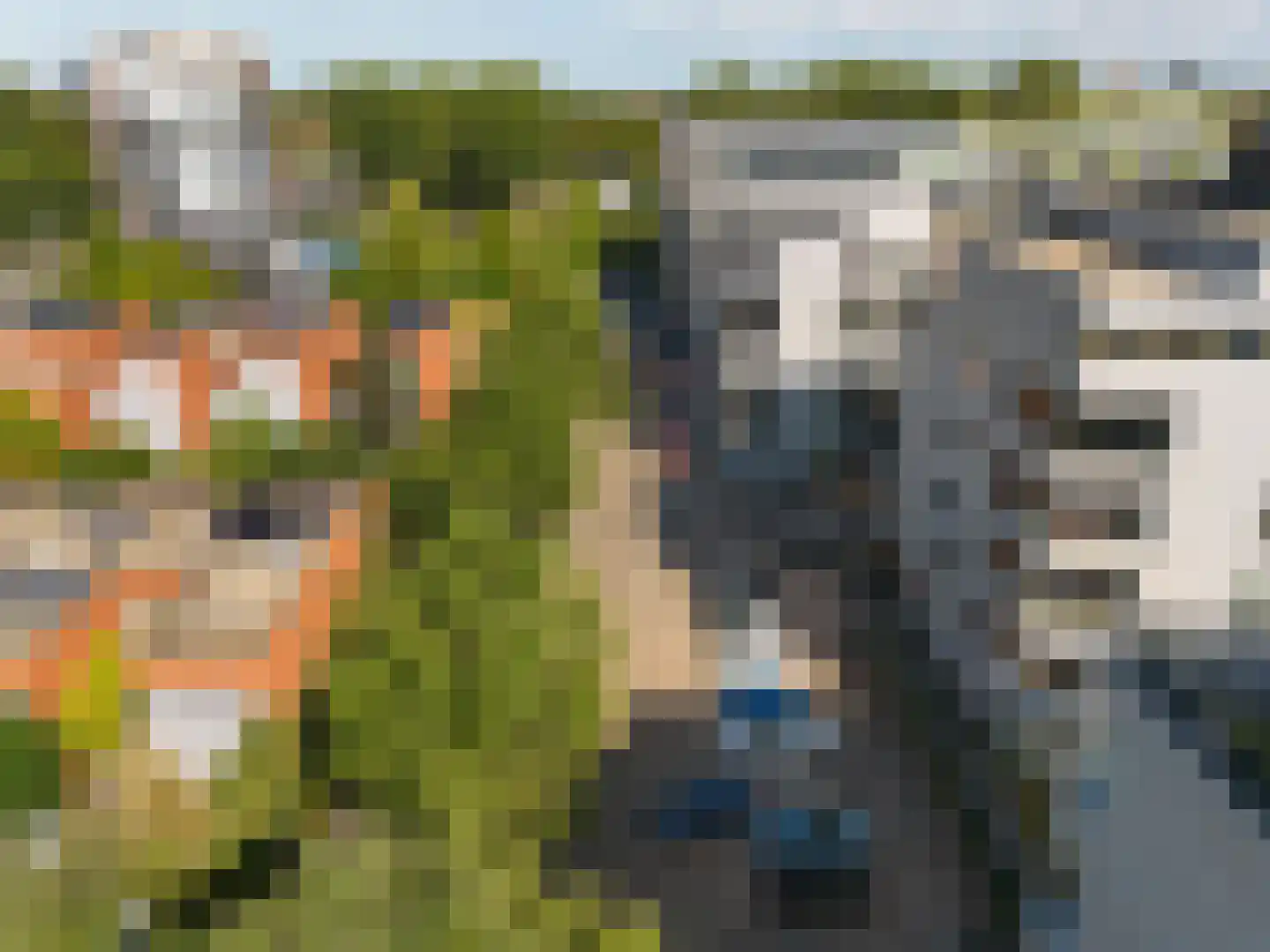 Julius Caesarlaan 98 Leiden thumbnail 45