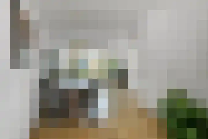 Julius Civilisplein 14 Elst thumbnail 10