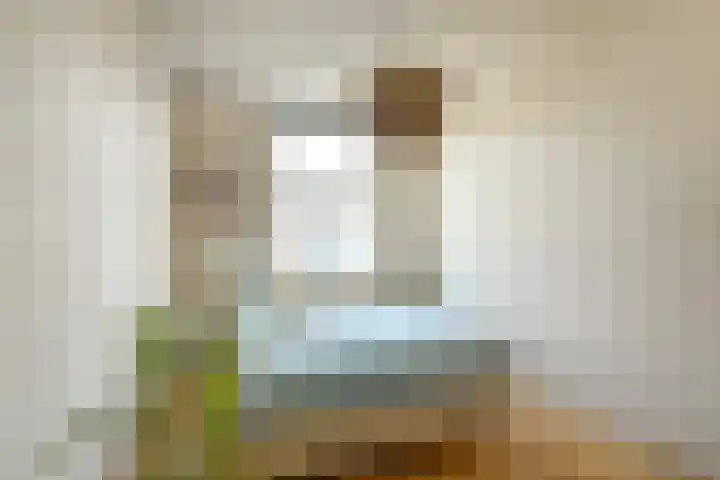 Julius Civilisplein 14 Elst thumbnail 12
