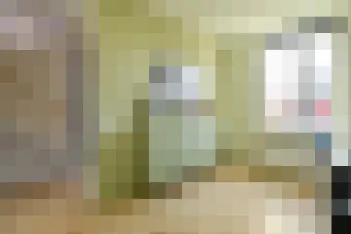 Julius Civilisplein 14 Elst thumbnail 16