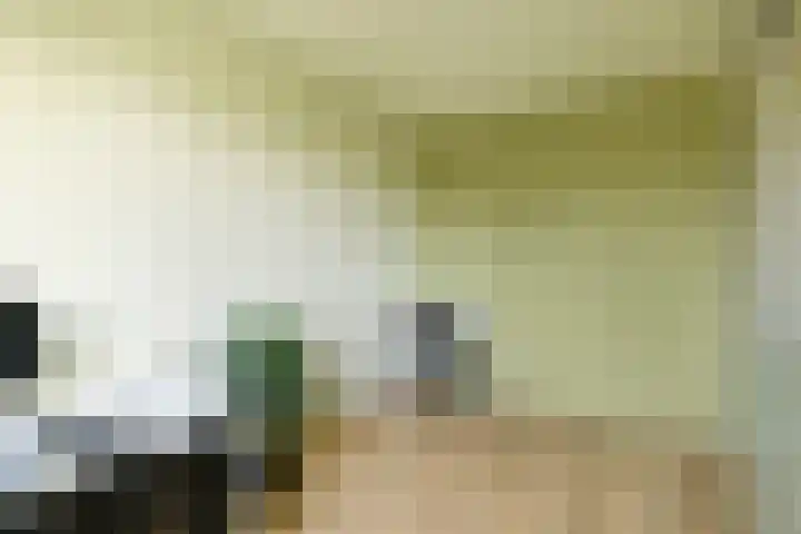 Julius Civilisplein 14 Elst thumbnail 17