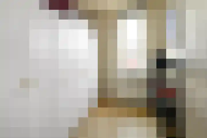 Julius Civilisplein 14 Elst thumbnail 18