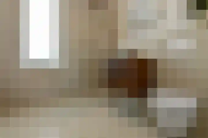 Julius Civilisplein 14 Elst thumbnail 20