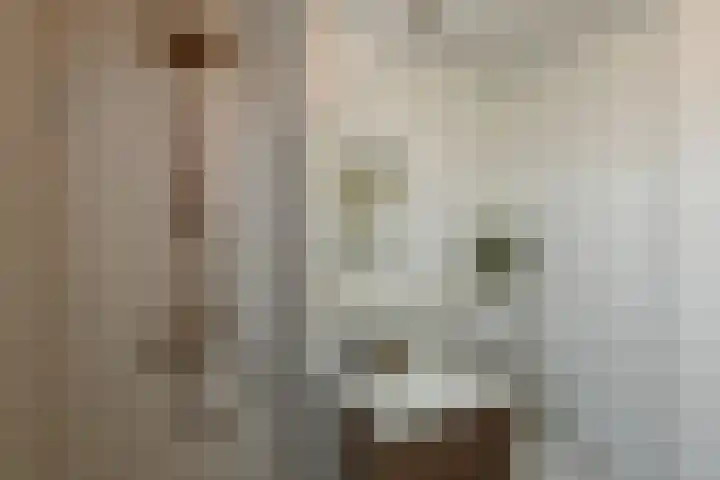 Julius Civilisplein 14 Elst thumbnail 21