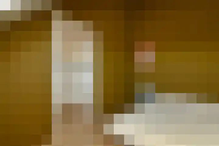 Julius Civilisplein 14 Elst thumbnail 23