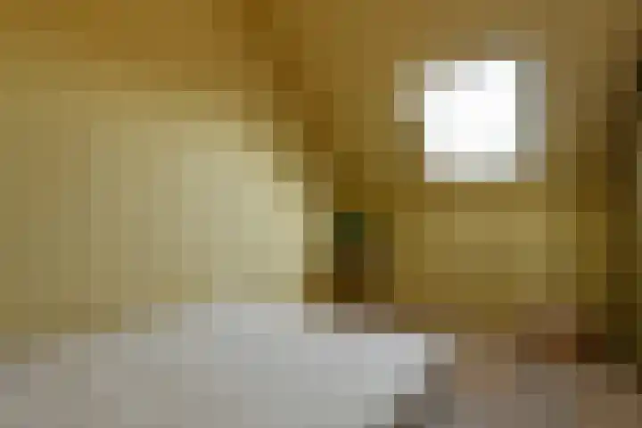 Julius Civilisplein 14 Elst thumbnail 24