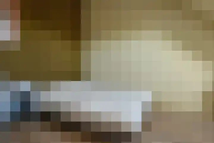 Julius Civilisplein 14 Elst thumbnail 25