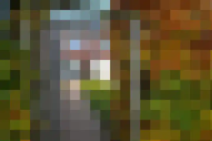 Julius Civilisplein 14 Elst thumbnail 30