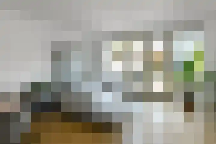 Julius Civilisplein 14 Elst thumbnail 4