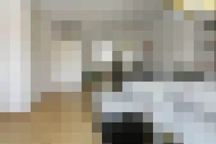 Julius Civilisplein 14 Elst thumbnail 6
