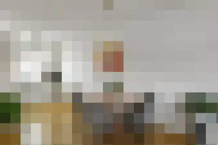 Julius Civilisplein 14 Elst thumbnail 7