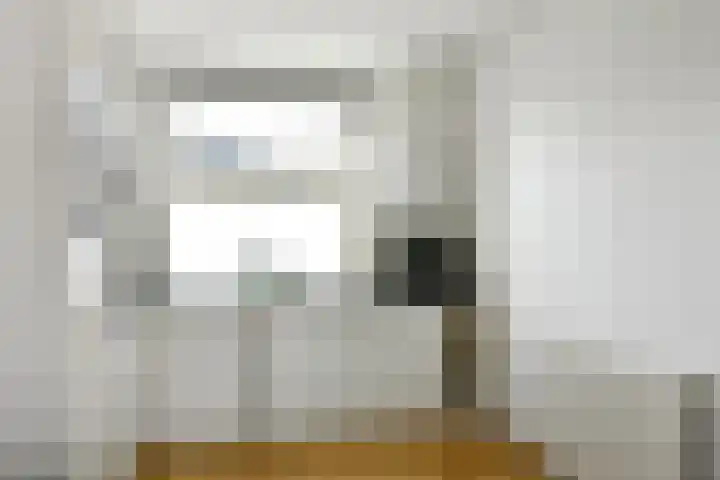Julius Civilisplein 14 Elst thumbnail 8