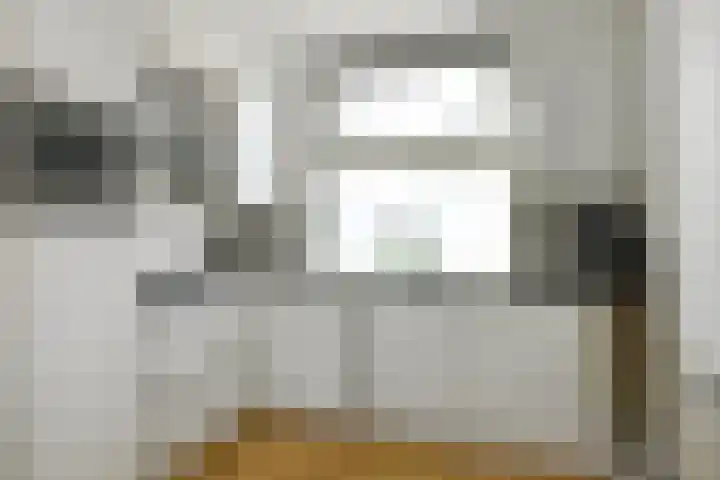 Julius Civilisplein 14 Elst thumbnail 9