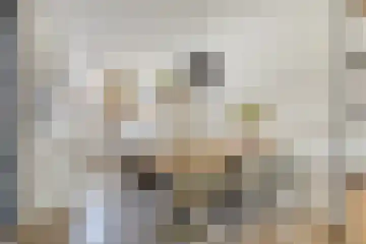 Julius Civilisplein 20 Elst thumbnail 13