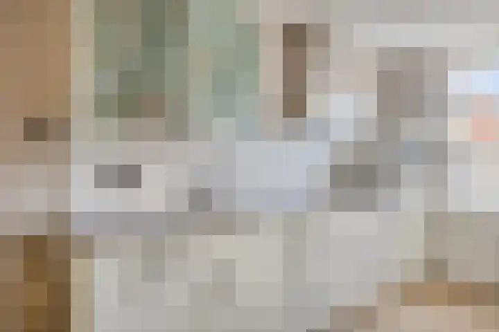 Julius Civilisplein 20 Elst thumbnail 15