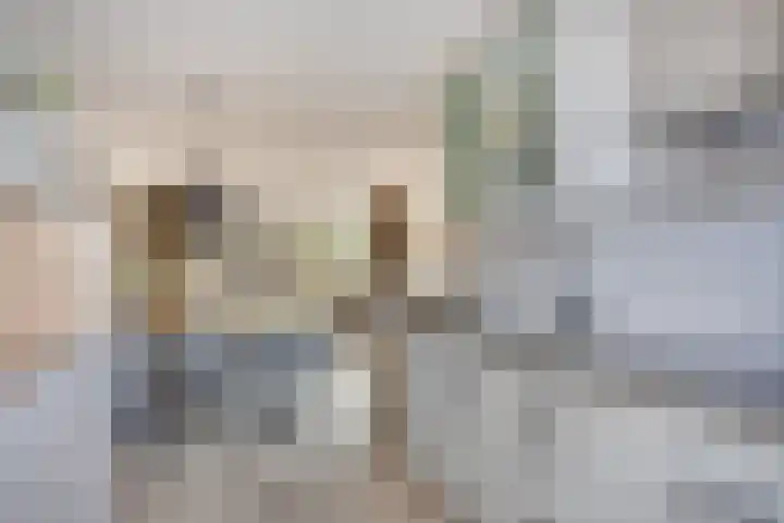 Julius Civilisplein 20 Elst thumbnail 16