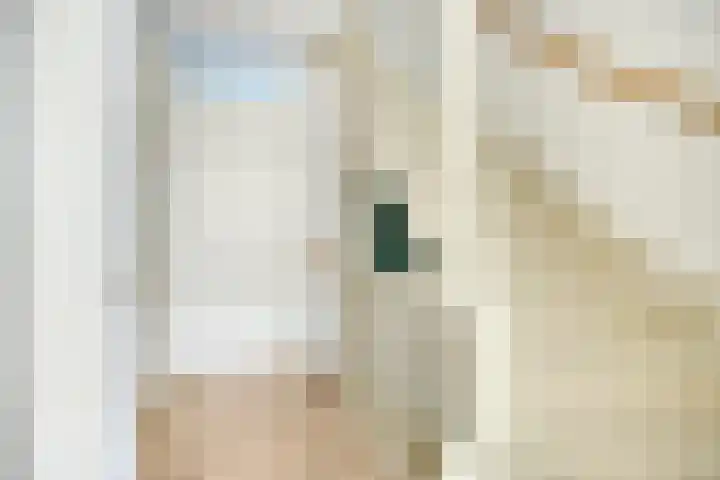 Julius Civilisplein 20 Elst thumbnail 18