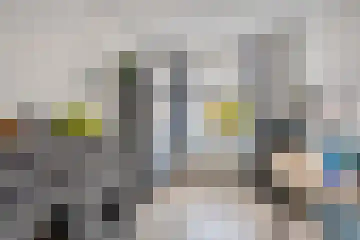Julius Civilisplein 20 Elst thumbnail 19
