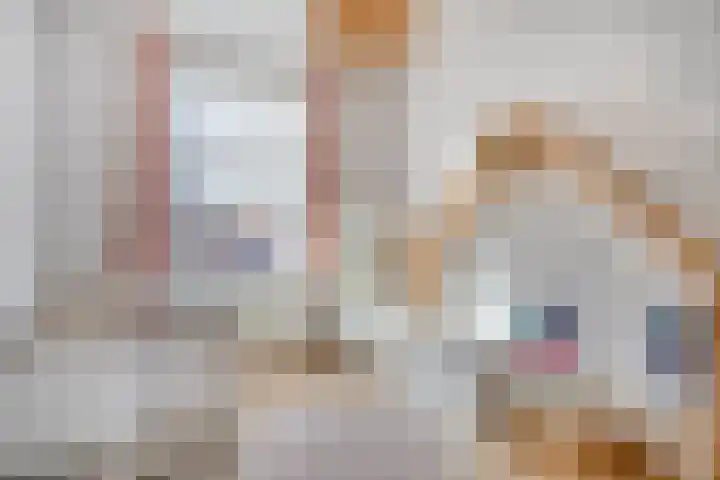 Julius Civilisplein 20 Elst thumbnail 22