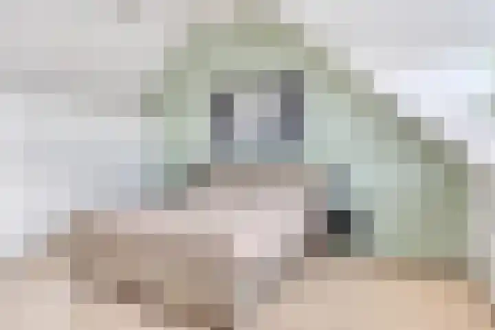 Julius Civilisplein 20 Elst thumbnail 25