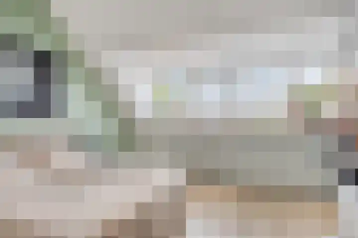 Julius Civilisplein 20 Elst thumbnail 27