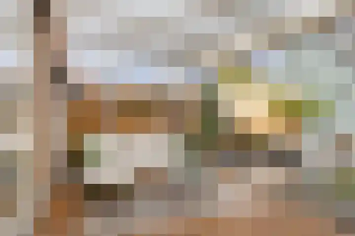 Julius Civilisplein 20 Elst thumbnail 29