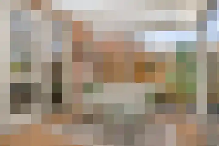Julius Civilisplein 20 Elst thumbnail 30