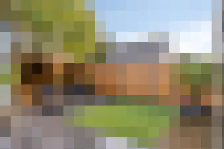 Julius Civilisplein 20 Elst thumbnail 31