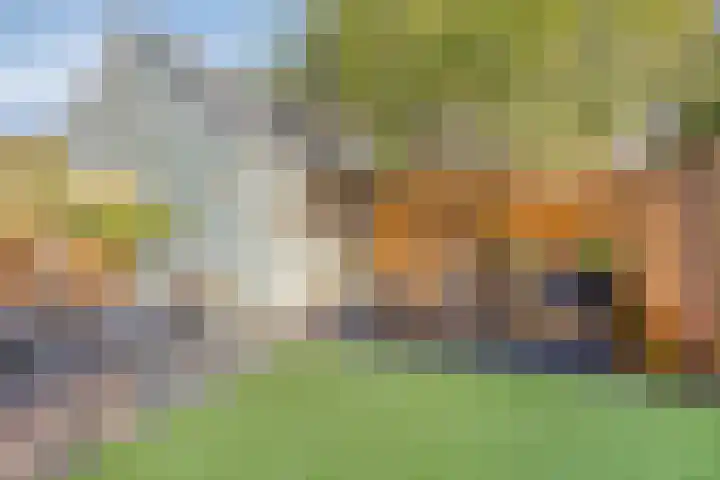 Julius Civilisplein 20 Elst thumbnail 32
