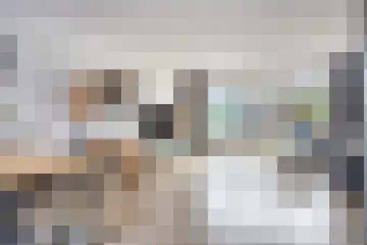 Julius Civilisplein 20 Elst thumbnail 9