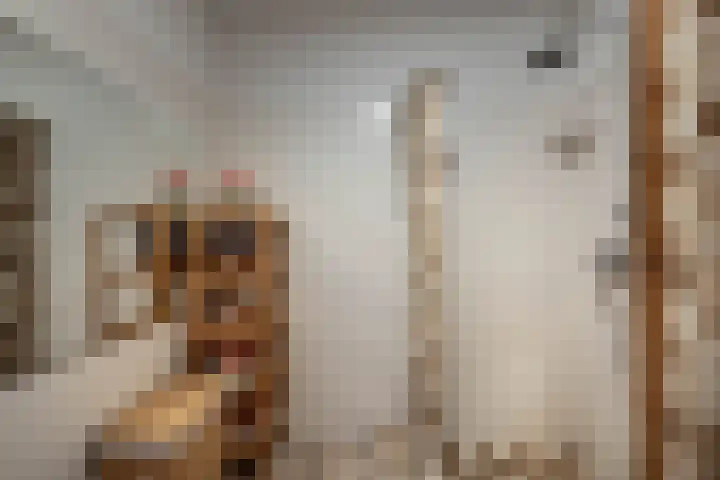 Julius Pergerstraat 168 Amsterdam thumbnail 15