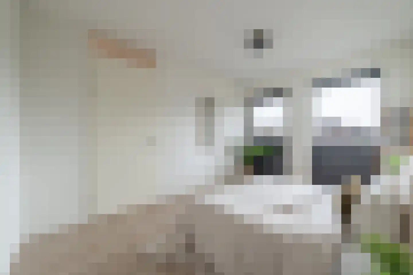 Julius Pergerstraat 19 Amsterdam thumbnail 14
