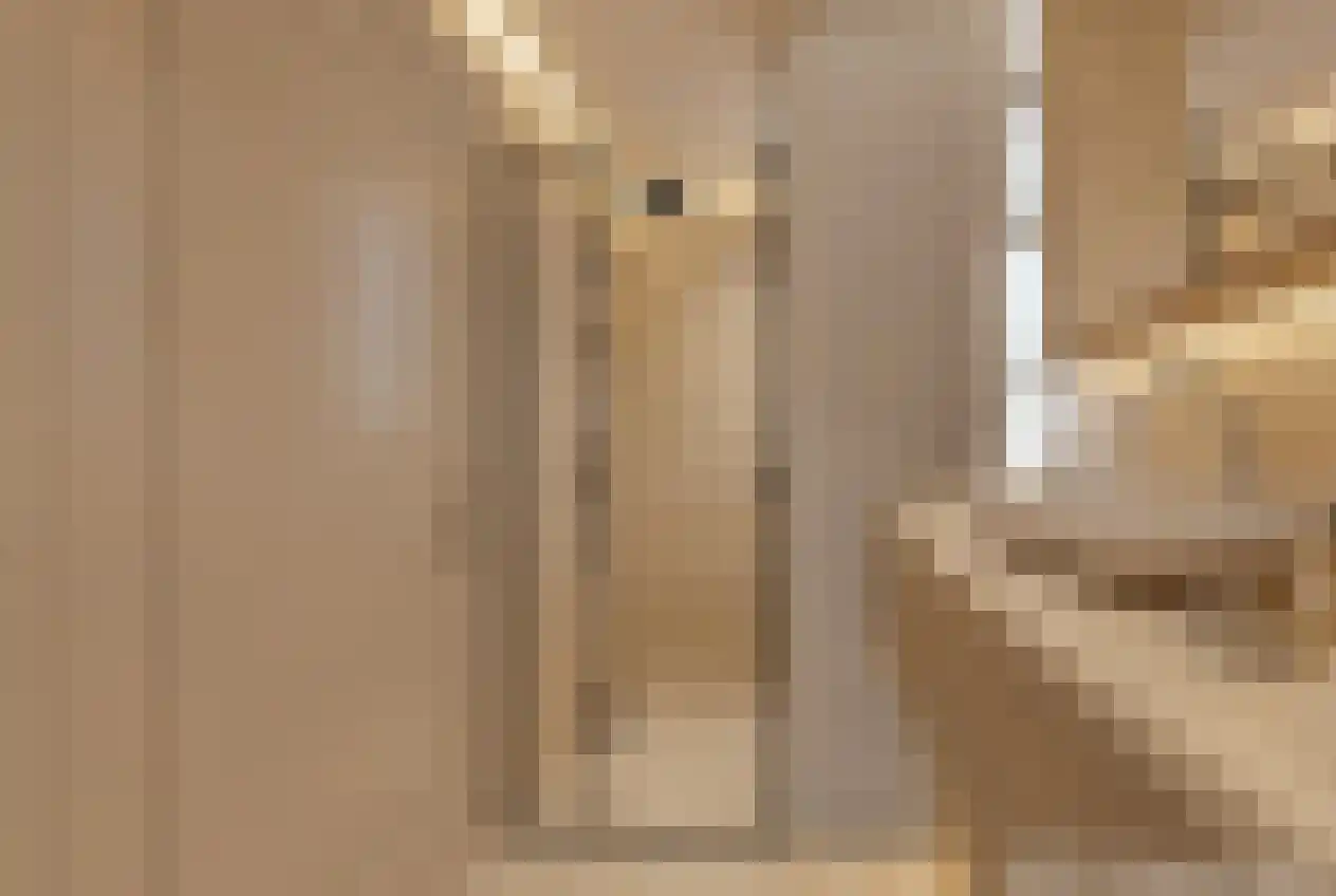 Julius Pergerstraat 262 Amsterdam thumbnail 20