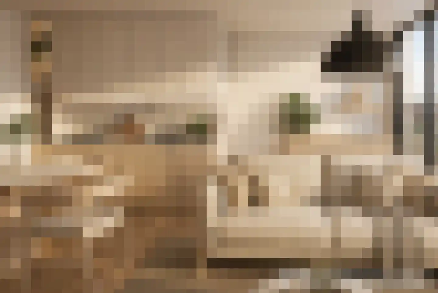 Julius Pergerstraat 262 Amsterdam thumbnail 29